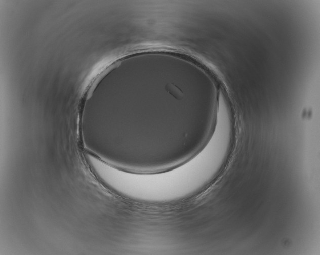 X0000113241365200909241536