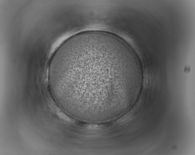 X0000113241366200909241536