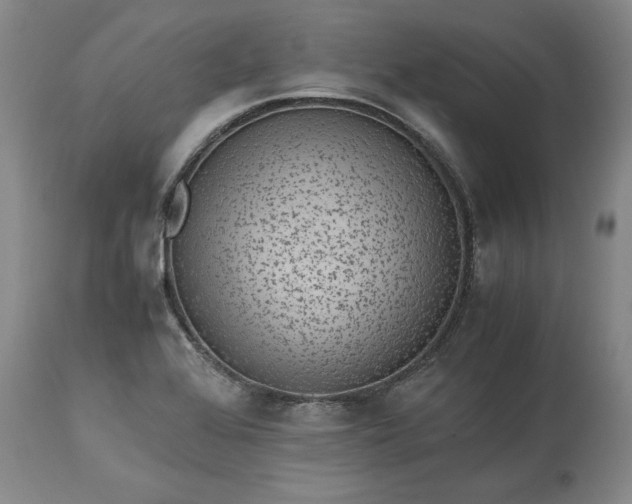 X0000113241368200909241536