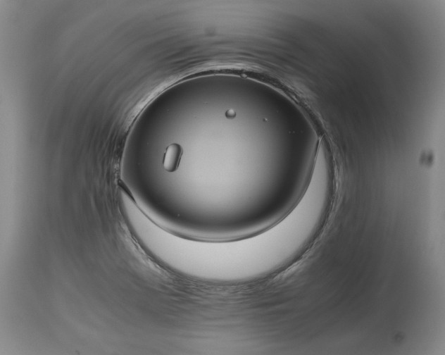 X0000113241369200909241536