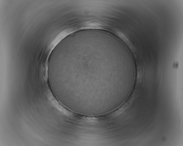 X0000113241370200909241536