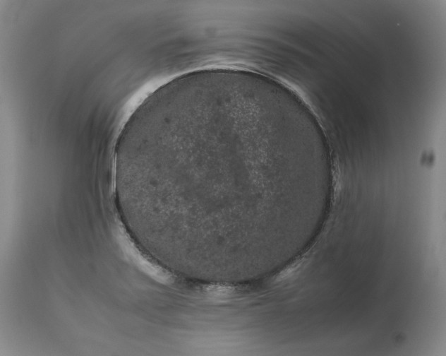 X0000113241371200909241536