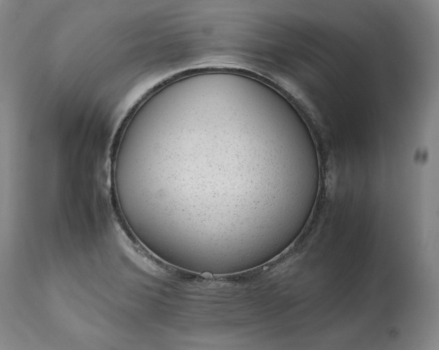 X0000113241372200909241536