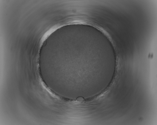 X0000113241373200909241536