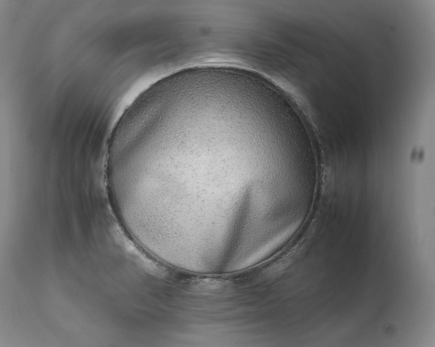 X0000113241374200909241536