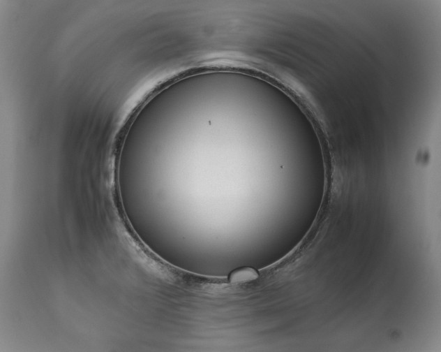 X0000113241376200909241536