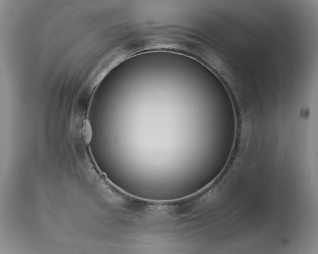 X0000113241377200909241536