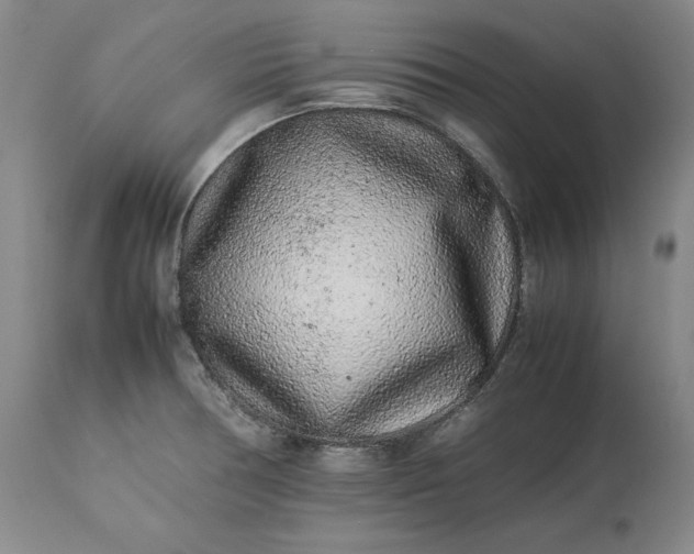 X0000113241378200909241536