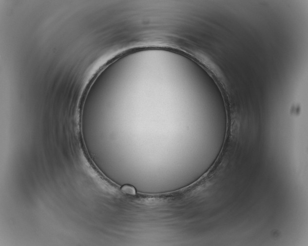 X0000113241380200909241536