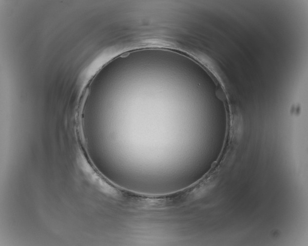 X0000113241381200909241536