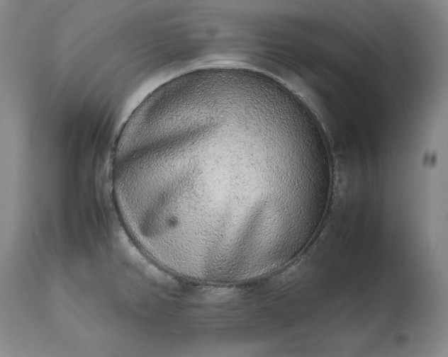 X0000113241382200909241536