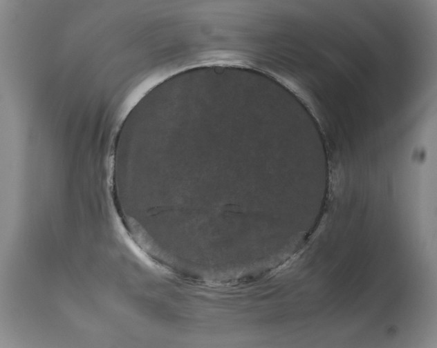 X0000113241383200909241536