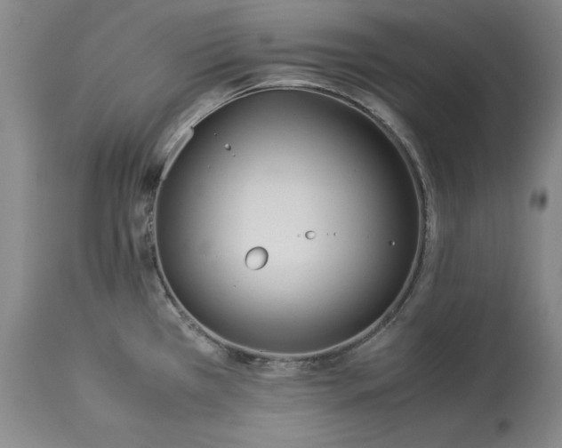 X0000113241385200909241536