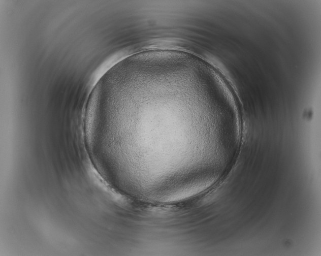 X0000113241386200909241536