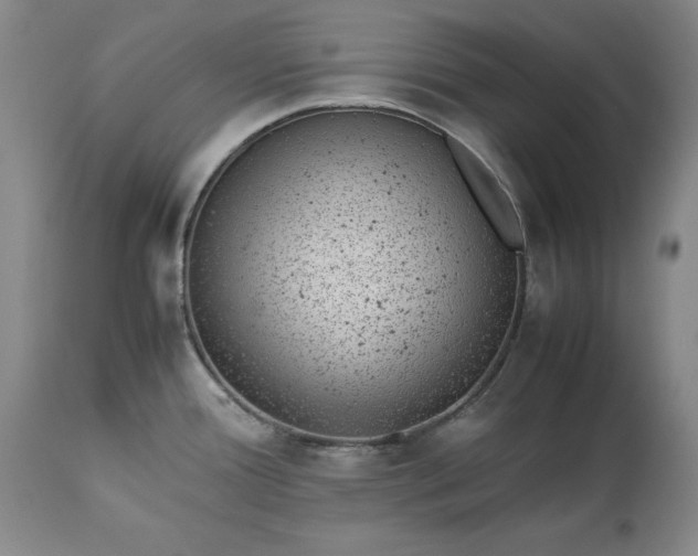 X0000113241388200909241536