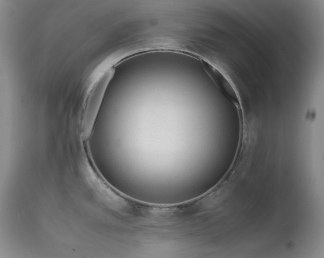 X0000113241389200909241536