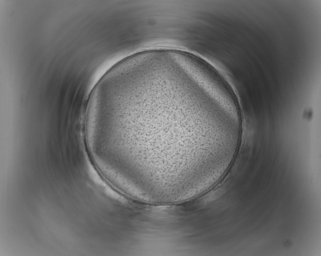 X0000113241390200909241536