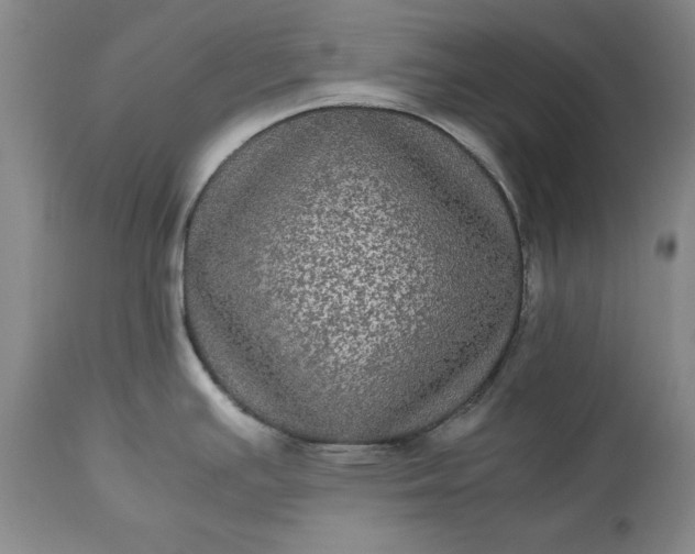 X0000113241391200909241536