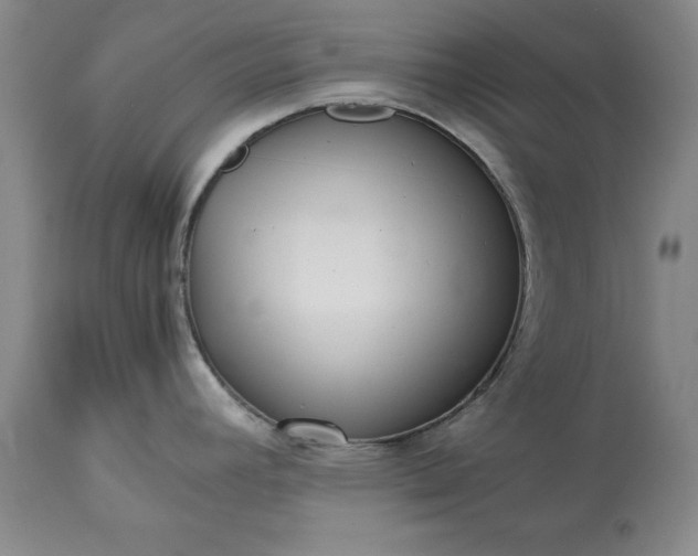 X0000113241392200909241536