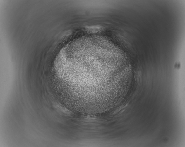 X0000113241393200909241535