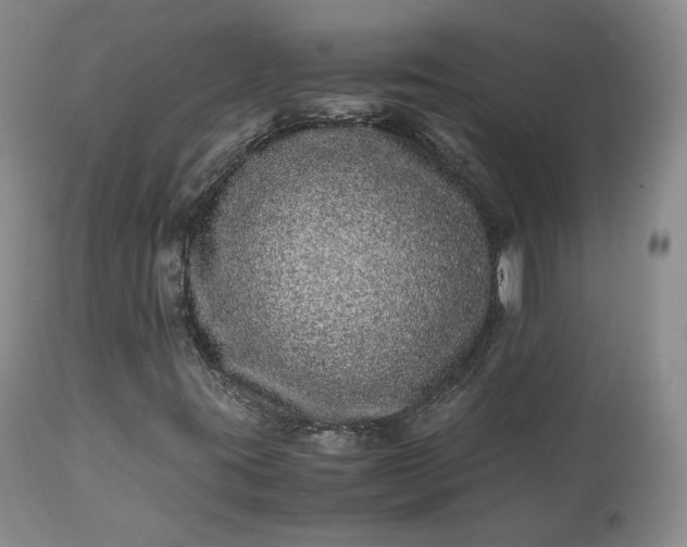 X0000113241395200909241535