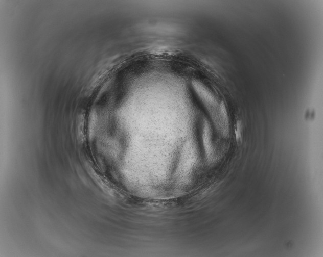 X0000113241396200909241536