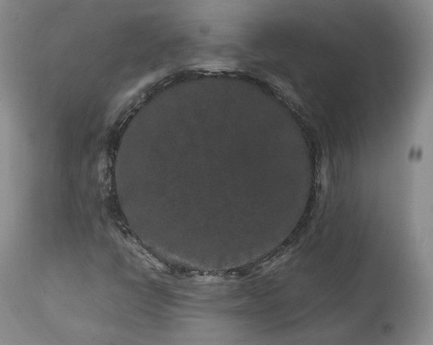 X0000113241398200909241536