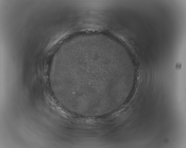 X0000113241399200909241536