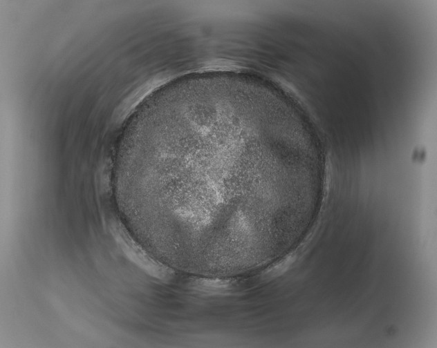 X0000113241401200909241536