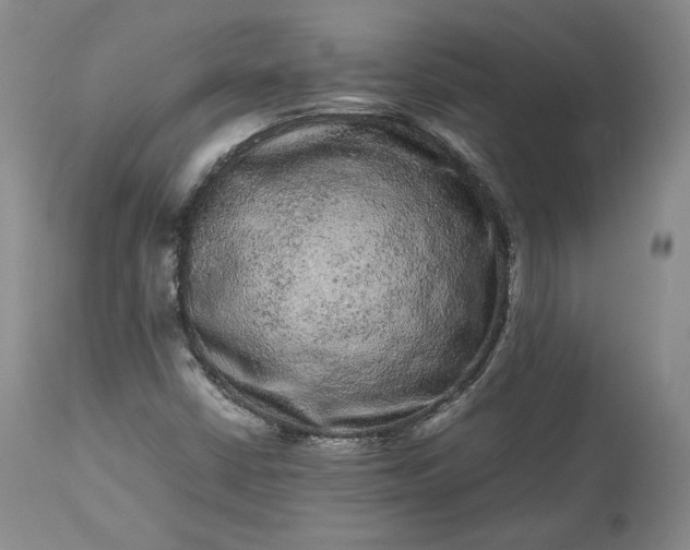 X0000113241402200909241536