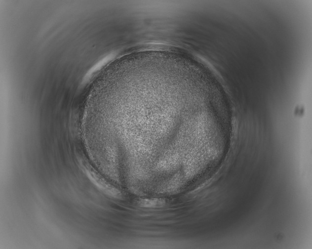 X0000113241403200909241536