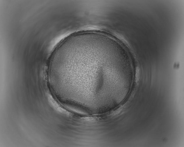 X0000113241404200909241536