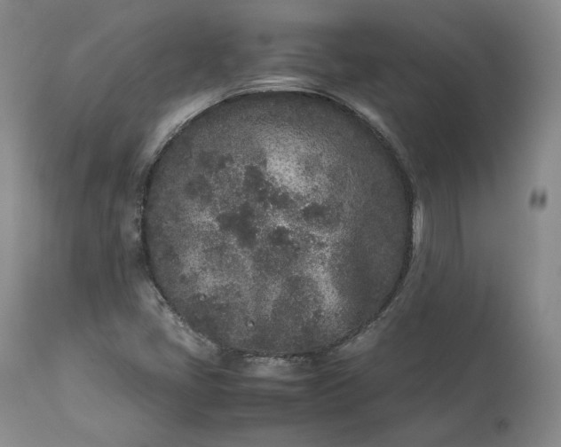 X0000113241405200909241536