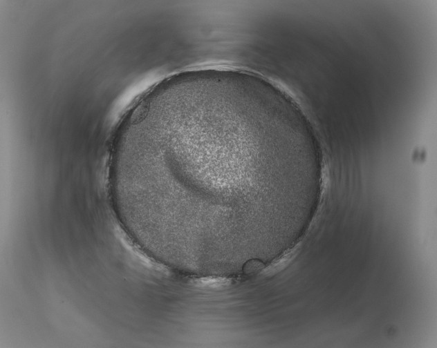 X0000113241406200909241536