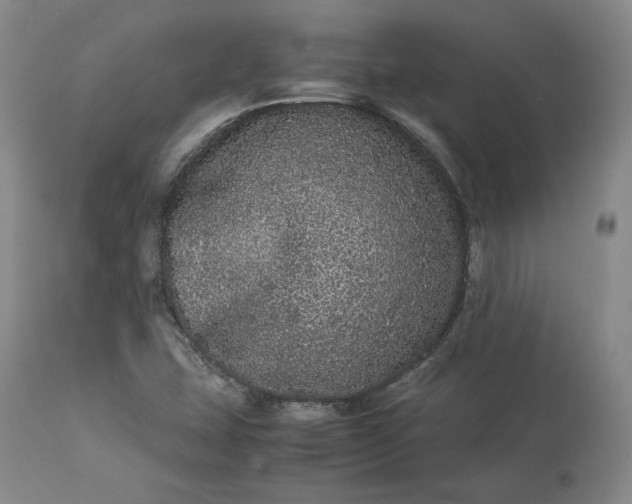 X0000113241407200909241536