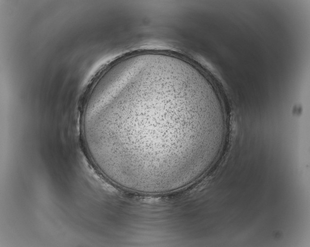 X0000113241408200909241536