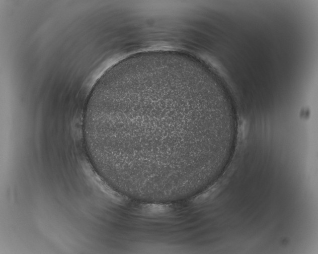 X0000113241409200909241536