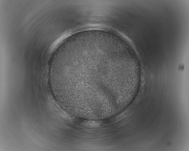 X0000113241411200909241536