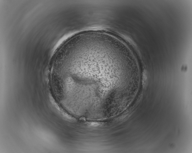 X0000113241412200909241536