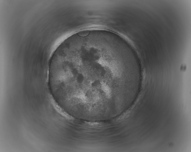 X0000113241413200909241536