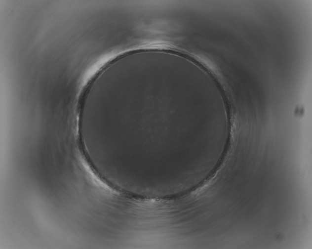 X0000113241414200909241536