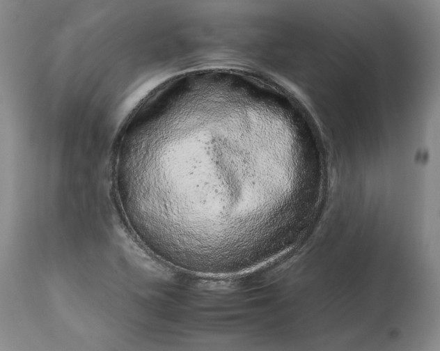 X0000113241415200909241536