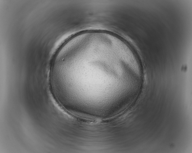 X0000113241416200909241536