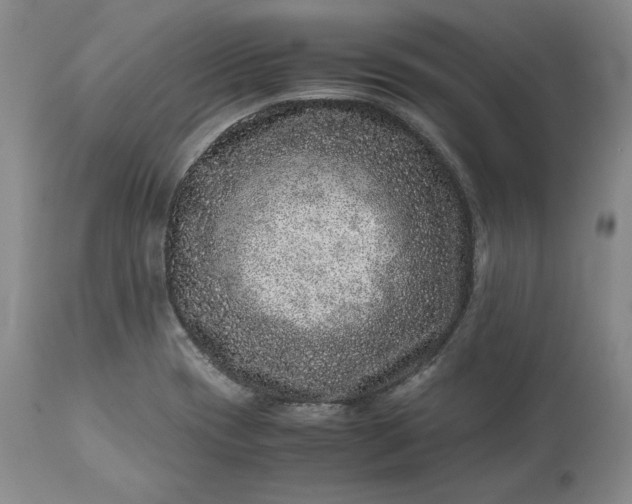 X0000113241417200909241536