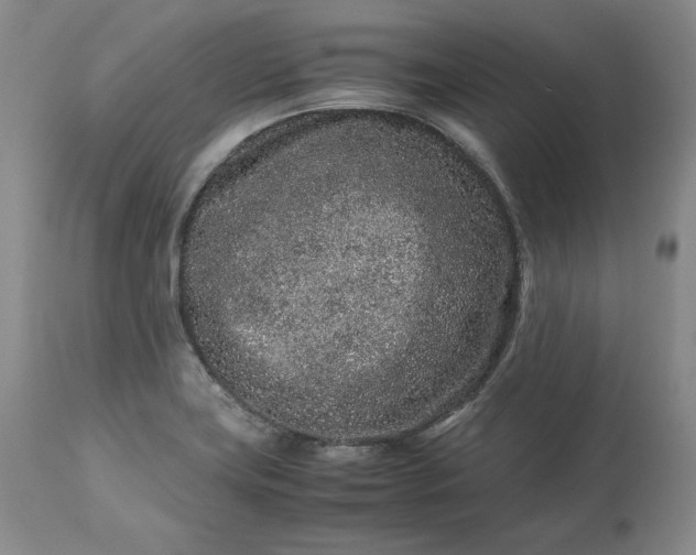 X0000113241419200909241536