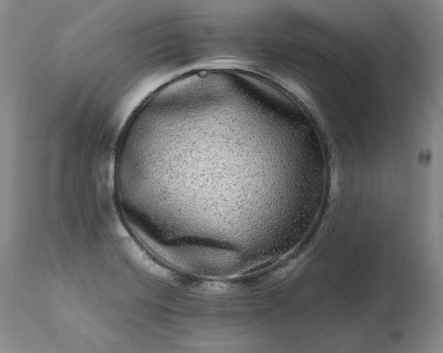 X0000113241420200909241536