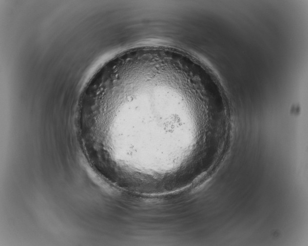 X0000113241421200909241536