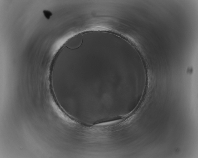 X0000113241422200909241536