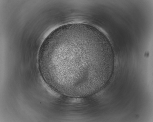 X0000113241423200909241536