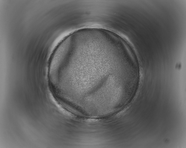 X0000113241424200909241536